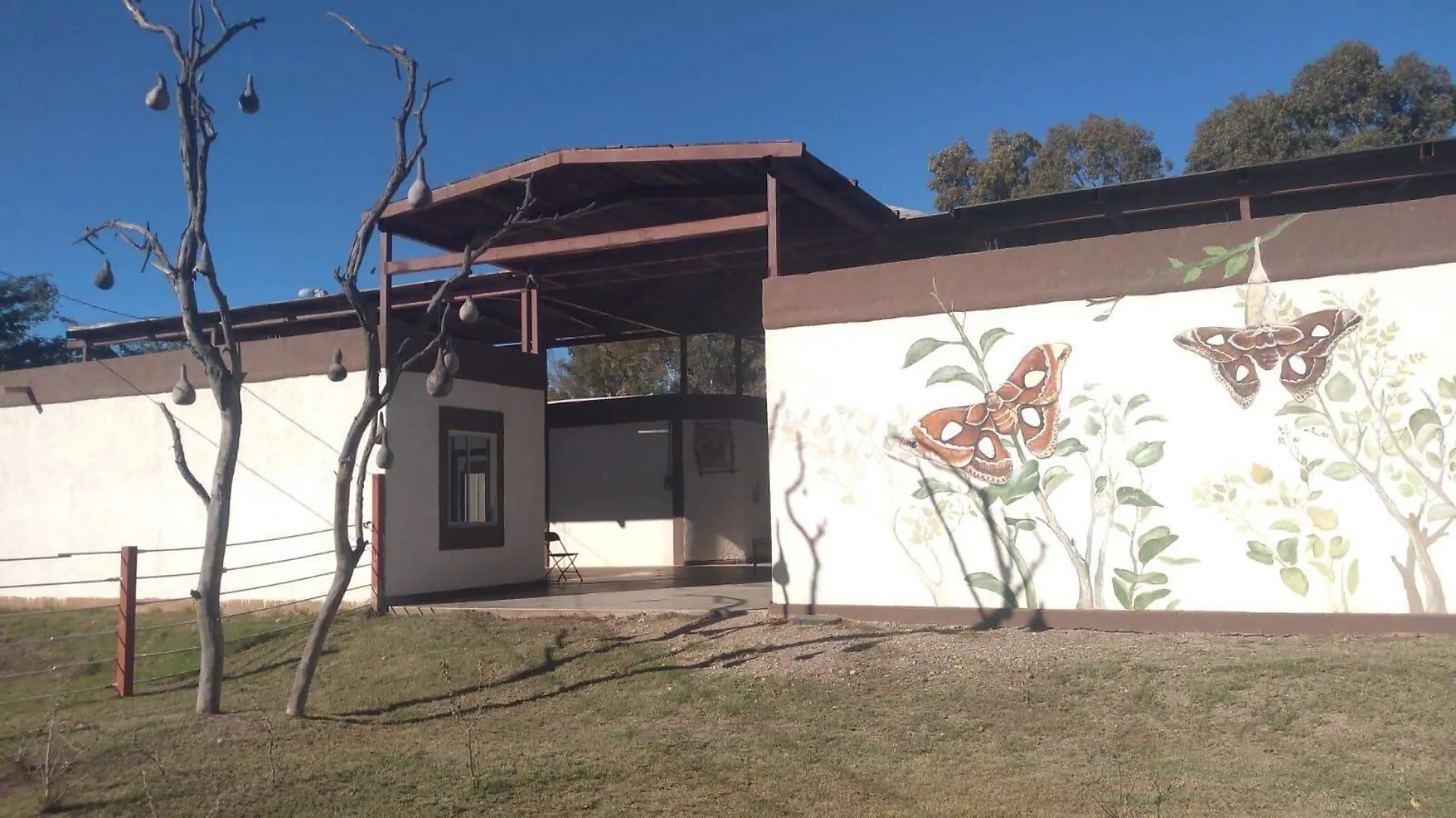 Mariposario Yo'o Joara Baiseborimta Joara  en Cócorit (2)